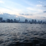 IMG_5463.JPG
