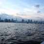 IMG_5456.JPG