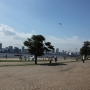 IMG_5382.JPG