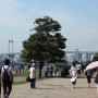 IMG_5384.JPG