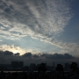 IMG_5426.JPG
