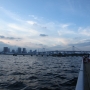 IMG_5465.JPG